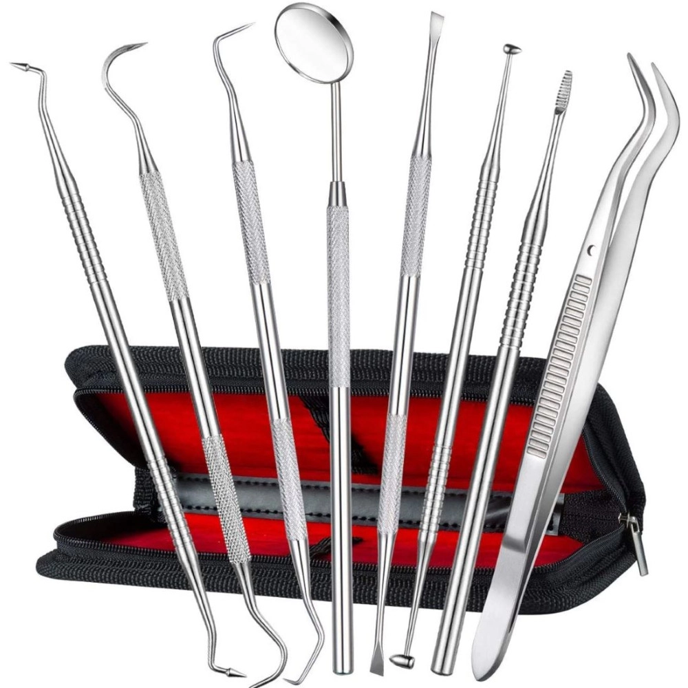 Dental Hygiene 8 Pcs Kit LCI (LTD)