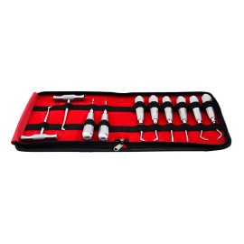 Root Elevator Dental Set of 10 Dental Instrument LCI(LTD)