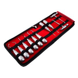 Root Elevator Dental Set of 10 Dental Instrument LCI(LTD)
