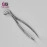 Extracting Forceps English Pattern Life Care Instruments Ltd