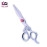 Professional Dragon Handle Barber Scissor-LCI(Ltd)-Silver