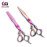 Barber Hair Cutting Dragon Handle Multy Scissors Set - LCI(Ltd)