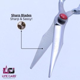 Professional Silver Dragon Handle Hair Scissors-LCI(Ltd)-Silver