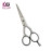 Professional Hair Cutting Scissors - LCI (Ltd)