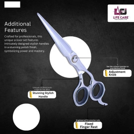 Professional Unique Design Hair Scissors Set-LCI(Ltd)-Silver