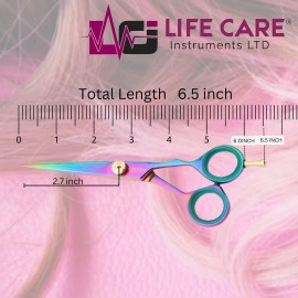 Professional Hair Scissors Stainless Steel-6 inch-LCI (Ltd)-(Multicolor)